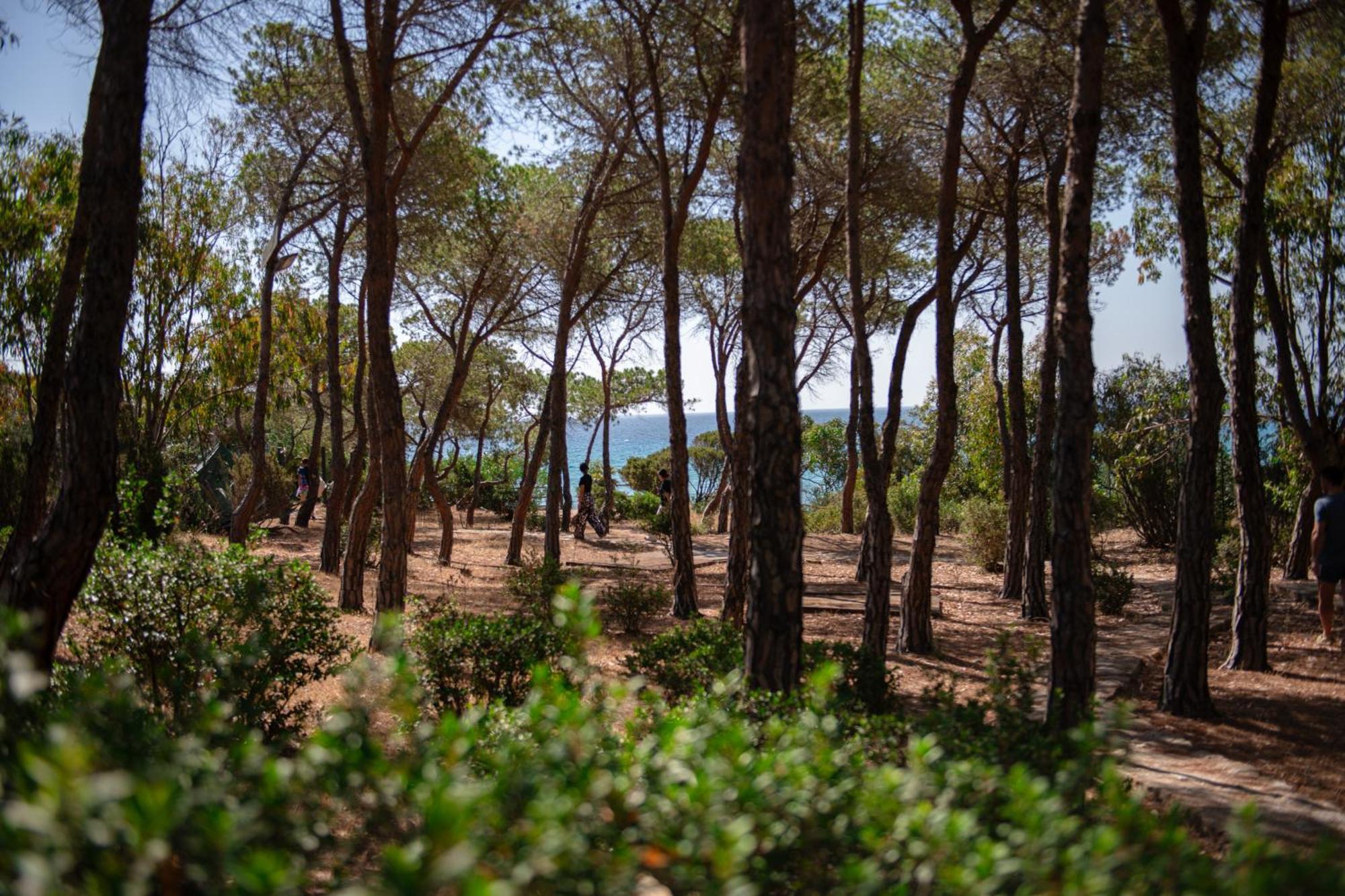 Amareclub Rocca Dorada Otel Santa Margherita di Pula Dış mekan fotoğraf